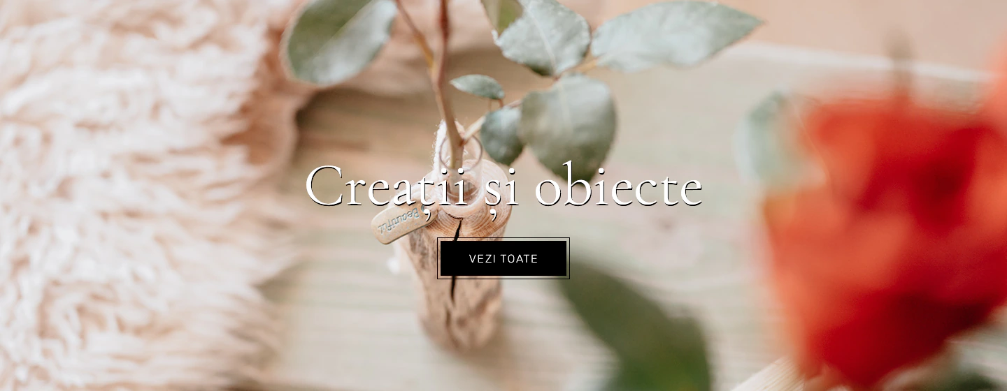 Creatii si obiecte