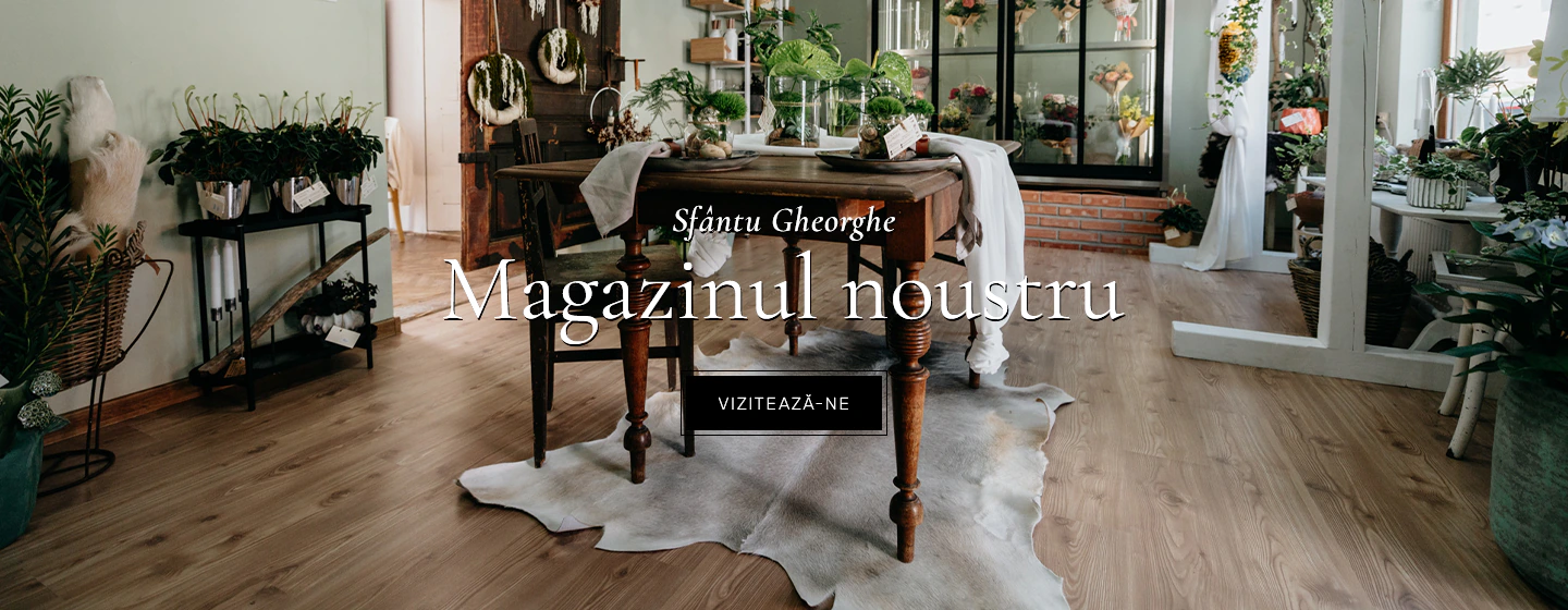 Magazin Sf.Gheorghe