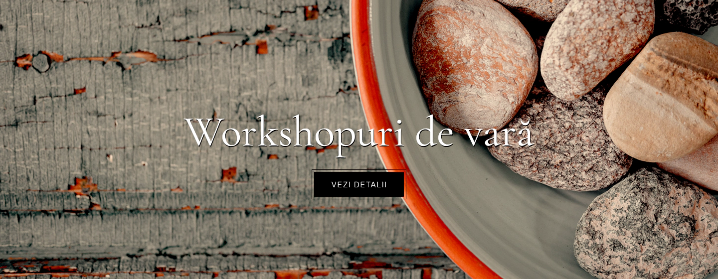 Workshopuri