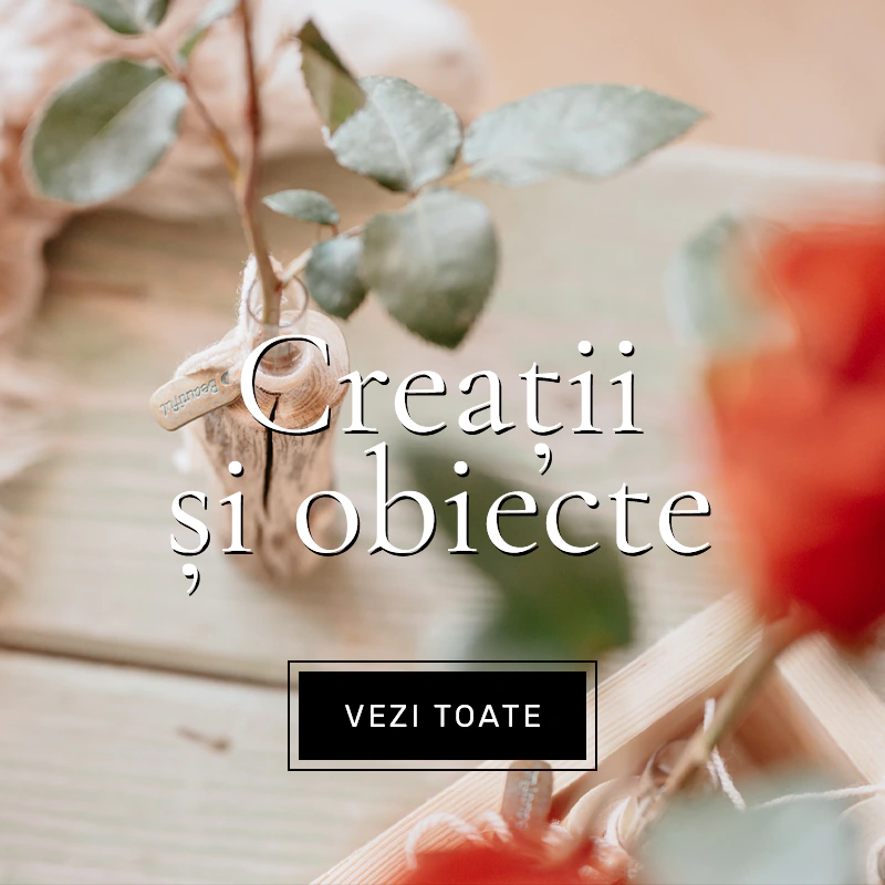 Creatii si obiecte