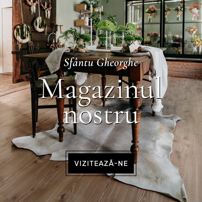 Magazin Sf.Gheorghe