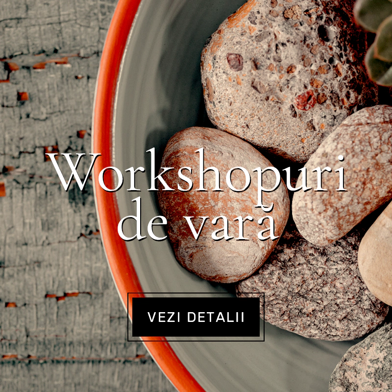 Workshopuri